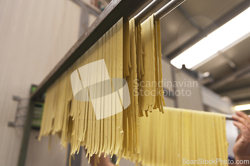 Image of Tagliatelle pasta hanging to dry