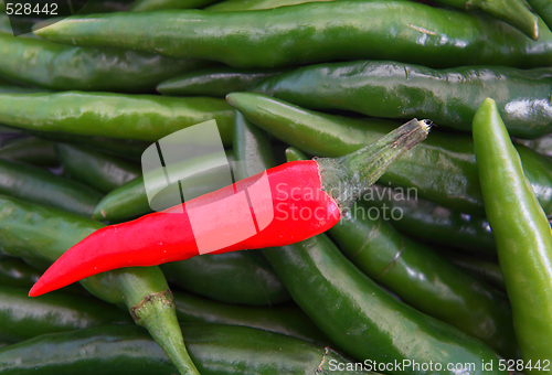 Image of Green chillies with one red chilli