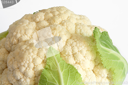 Image of Cauliflower close-up