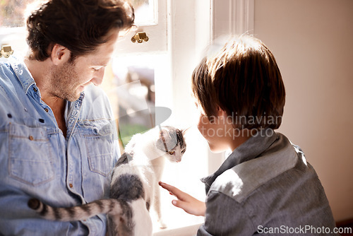 Image of Pet, cat or father with child in home, house or apartment together for support, care or love by window. England, brush or dad bonding with kid, boy or kitten on a family vacation, holiday or relax