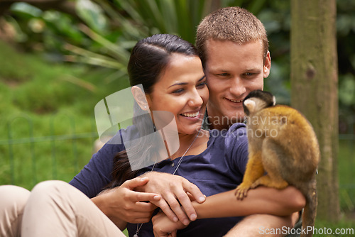 Image of Monkey, animal and park with happy couple together for wildlife rescue, outdoor activity or interactive experience in nature. Conservation, date and people for bonding, holiday or travel at sanctuary