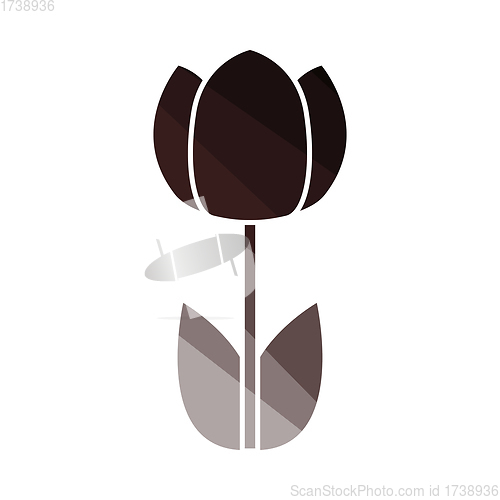 Image of Spring Flower Icon