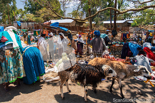 Image of Ethiopian People on the street, Ethiopia Africa