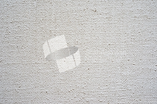 Image of canvas primed with white with a texture