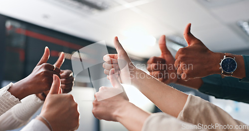 Image of Business people, hands and thumbs up for success, agreement or deal achievement at office. Teamwork, yes sign and OK emoji for winning, synergy or group solidarity at startup with employee support