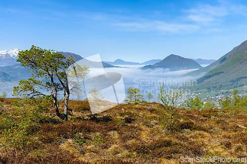 Image of Serene morning view overlooking a misty valley from a mountainou