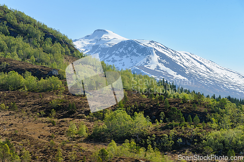 Image of Majestic snow-capped mountain overlooking a verdant springtime v