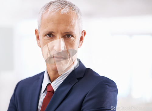 Image of Politician, confidence and portrait of mature businessman, ceo or senior manager at government office. Leadership, mockup and face of business owner, entrepreneur or professional at agency with pride