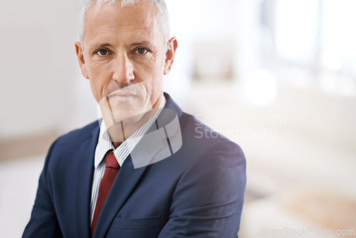 Image of Leadership, portrait and mature businessman, serious ceo or senior manager at government office. Mockup, confidence and face of business owner, boss or entrepreneur at professional agency with pride