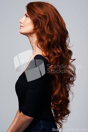 Image of Hair, woman and studio shine for growth treatment, keratin and highlights in hairstyle. Happy female person, redhead and collagen wellness, natural beauty on model and isolated white background