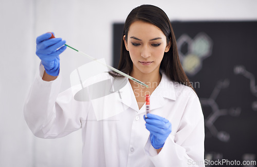Image of Woman, laboratory and science research with test tube or medical chemistry for breakthrough, particles or liquid. Female person, equipment and future innovation for study, investigation or solution