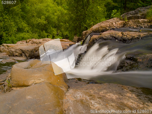 Image of Rapids Falling Into the Forest