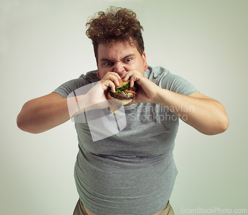 Image of Takeaway, weight gain and burger for man in studio with fastfood for unhealthy eating, plus size and greed. Young person with meal in mouth and fat stomach for hunger, meat and sauce for bite indoor