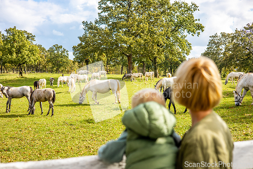 Image of Rear view of woman and child observe horses grazing in a green rural field