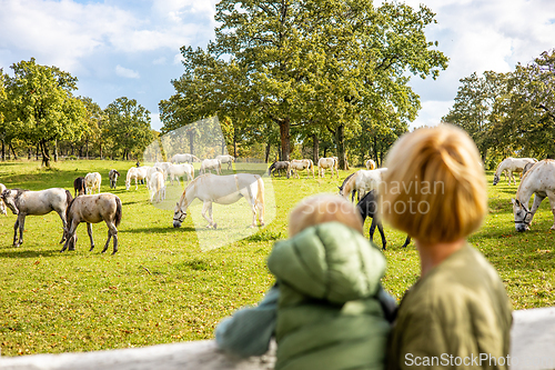 Image of Rear view of woman and child observe horses grazing in a green rural field