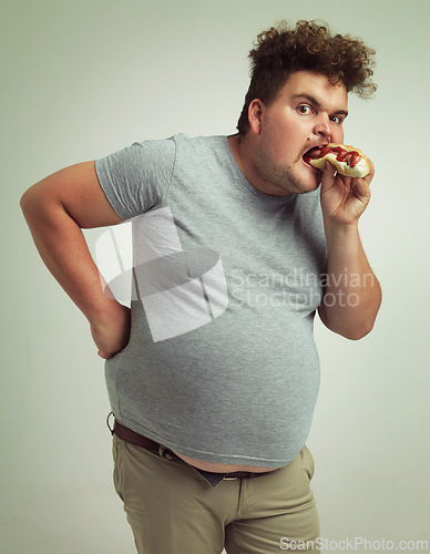 Image of Man, fast food and eating hotdog for lunch in studio background for snack, hunger and craving for plus size guy. Male person, hungry and burger or takeaway meal for starving and enjoy while standing