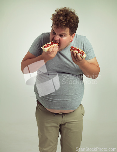 Image of Plus size man, fast food and eating hotdogs for lunch in studio background for snack, hunger and craving. Male person, hungry and takeaway meal with ketchup or starving and enjoy while standing