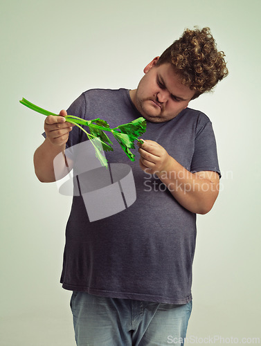 Image of Plus size, diet and unhappy man with vegetable for health benefits, nutrition and wellness in studio in white background. Weight loss, celery and male person for healthy food, wellbeing and detox