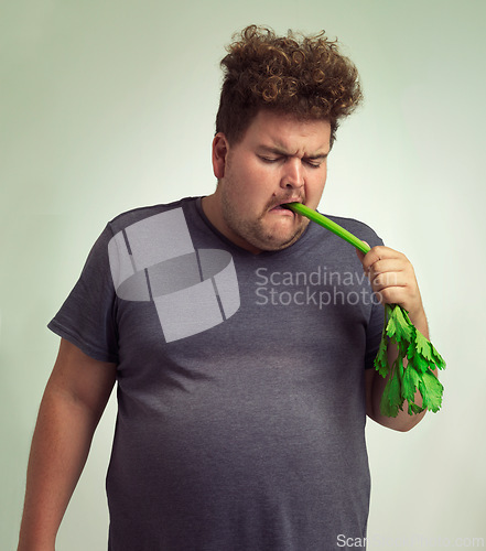 Image of Diet, plus size and unhappy man eating vegetable for health benefit, nutrition and wellness in studio by white background. Weight loss, celery and male person for healthy food, wellbeing and detox