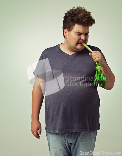 Image of Plus size, diet and disgusted man eating vegetable for health, nutrition and wellness in studio in white background. Weight loss, celery and unhappy male person for healthy food, wellbeing and detox