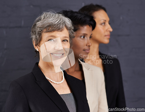 Image of Team, professional and portrait of business woman with staff, employees and diversity in corporate career. People, management and leadership together for job in banking, finance and investment