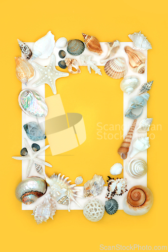 Image of Exotic Seashell Background Border Frame