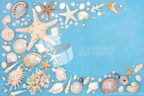 Image of Seashells and Pearls Abstract Background Border  