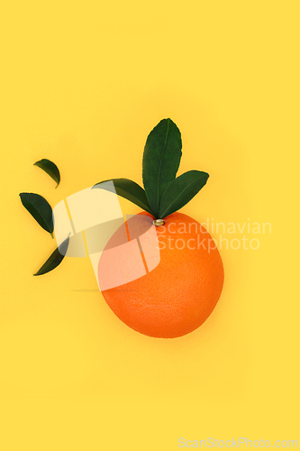 Image of Summer Sunshine in an Orange Fruit