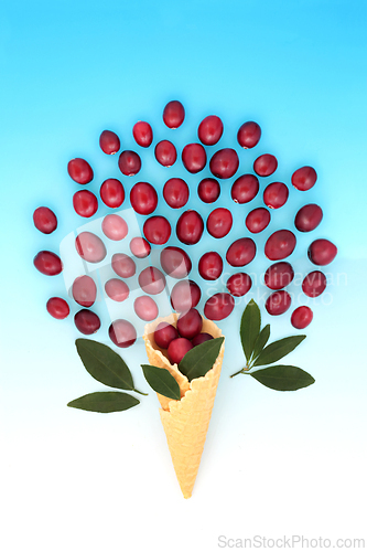Image of Surreal Fun Summer Cranberry Fruit Ice Cream Cone  