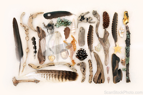Image of Natural Collection of Nature Objects 