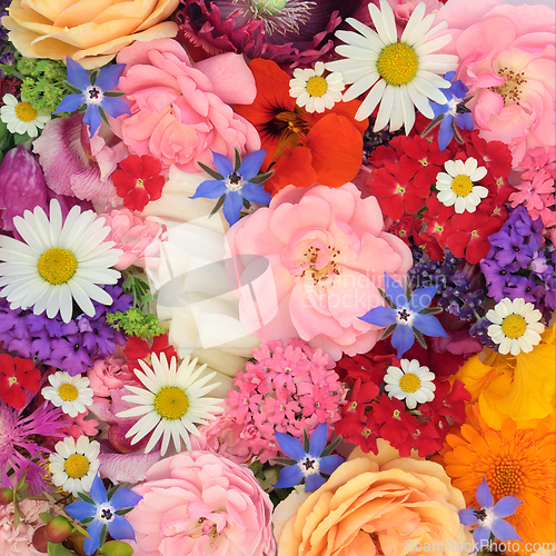 Image of Summer Flowers and Herbs For Natural Herbal Medicine
