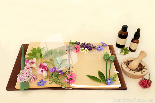 Image of Preparing Aromatherapy Essential Oil with Herbs and Flowers