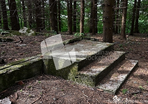 Image of concrete foundation and porch of a ruined house in a forest