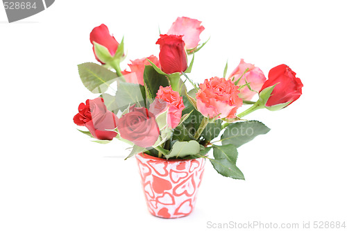 Image of lots of roses