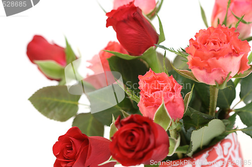 Image of lots of roses