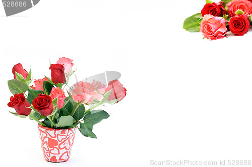 Image of lots of roses