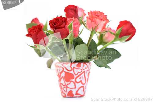 Image of lots of roses