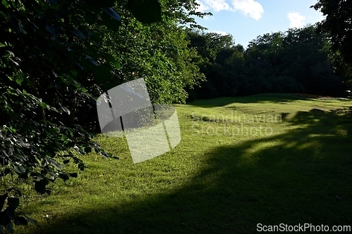 Image of sunlit green lawn in the park 