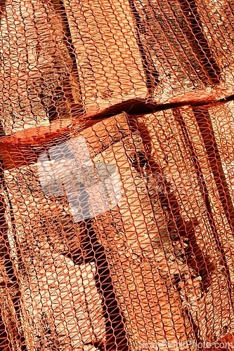 Image of birch firewood in nets