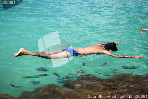 Image of Swimming in crystalline clear waters in Maragogi,  Brazil