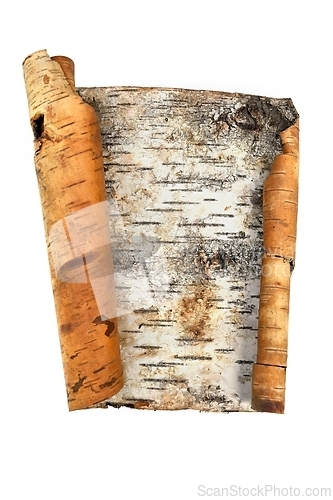 Image of piece of birch bark on a white 
