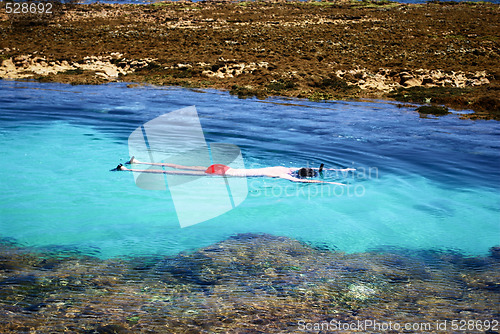 Image of Swimming in crystalline clear waters in Maragogi,  Brazil