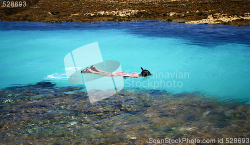 Image of Swimming in crystalline clear waters in Maragogi,  Brazil