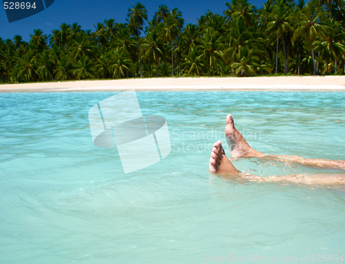 Image of Resting in crystalline clear waters in Maragogi,  Brazil