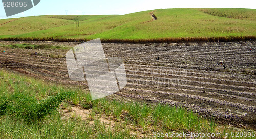 Image of Burning land in sugar cane harvest