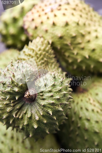 Image of Soursop