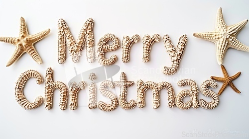 Image of Words Merry Christmas created in Kiwi Typography.