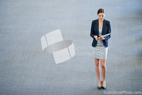 Image of Business woman, documents and lawyer in office, reading and planning for above in workplace. Female person, agency and paperwork for opportunity in firm for startup company, advocate and tasks