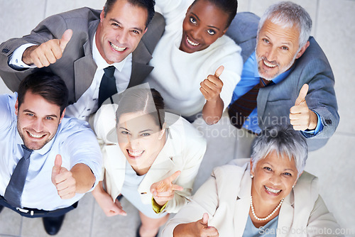 Image of Business people, portrait and team thumbs up in office, community and support or unity. Colleagues, diversity and agreement in collaboration or motivation in workplace, solidarity and cooperation