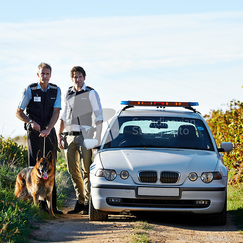 Image of Policeman, dog and car in field to search at crime scene or robbery for safety, law enforcement and evidence. Detective, investigation and uniform in outdoor working at countryside with gravel road